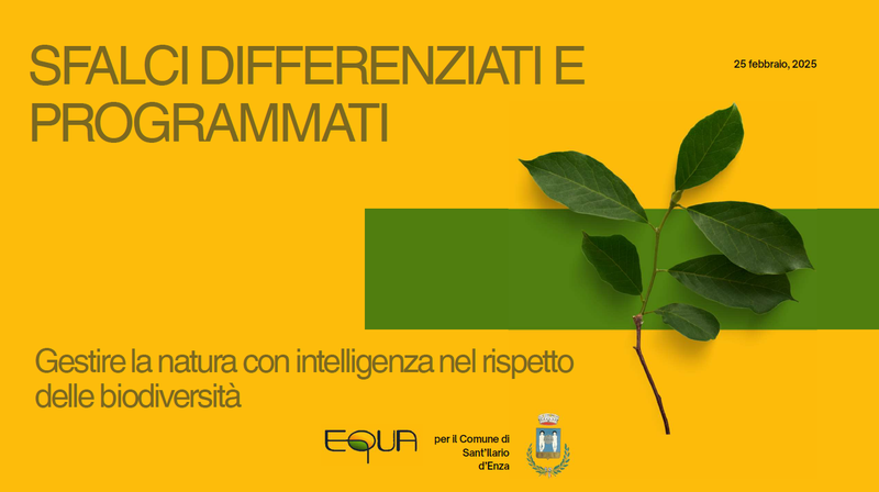 Aree verdi a sfalcio ridotto in aiuto alla biodiversità