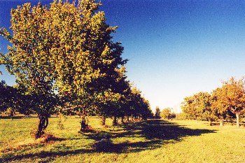 ParcoUrbano.jfif